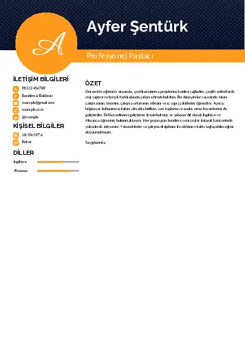 Pastacı Cv Örnekleri cv indir